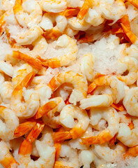 Cooked fresh shrimp on ice for sale