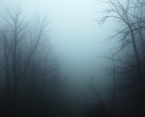 Obraz premium Mysterious fog envelops an ancient forest, shrouding the trees in a captivating veil of silence and intrigue