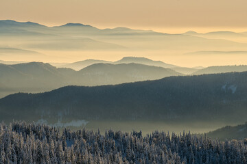 Aerial view of layers of mountain ranges shrouded in mist, with snow-dusted trees in the foreground, Vidlica, Zilina Region, Slovakia.