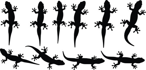 Gecko lizard silhouette collection with climbing and crawling poses flat vector illustration set isolated on white background for wildlife design
