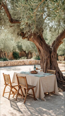 Outdoor dining table under olive tree with linen tablecloth and rustic chairs