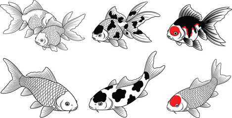 Koi fish illustration collection with detailed line art and colored accents flat vector set isolated on white background for decorative design