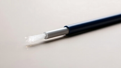 Fototapeta premium A paintbrush with white bristles lies on a plain white surface viewed from a close-up angle