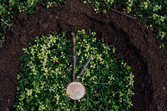 Top view of part of a clock made of soil on green grass with a wooden marker and two sticks resembling clock hands