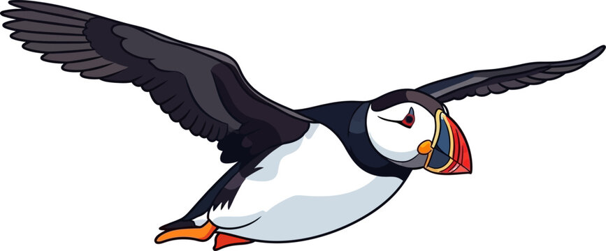 Cute Cartoon Atlantic Puffin Bird in Flight Illustration Isolated on White Background