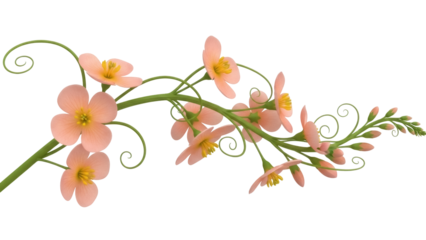 Isolated peach blossoms on a green stem with buds ready to burst into spring flowers