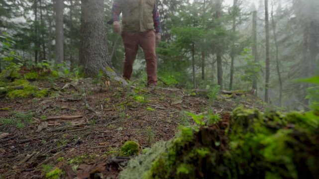 Low angle static of person walking through foggy forest with shallow depth of field, Seignurie Du Triton Quebec Canada