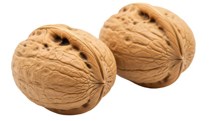 Isolated Walnuts. Close-up of two whole brown walnuts. Healthy snacks, nuts for vegetarians