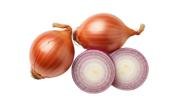 Isolated studio shot of two whole shallots and two slices of red onion on a plain surface