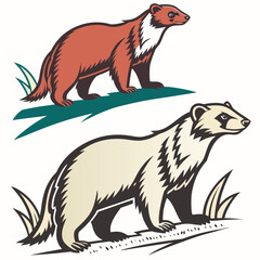 A mammal animel vector post