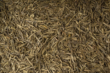 Green tea leaves macro textured background