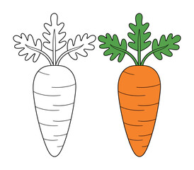 Carrots with green tops in outline and colored vegetable food