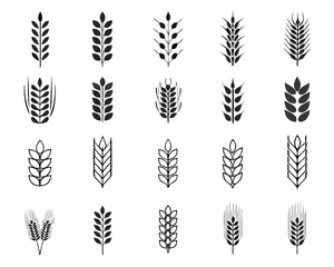 Collection of various wheat and grain stalk silhouettes on a white background © prince