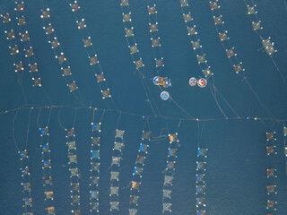 Aerial view of geometric aquaculture grids floating on the dark blue sea, with a few boats clustered together, Hon Yen, Phu Yen, Vietnam