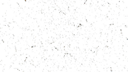 大量の泡、粒子が湧き上がる：背景透過