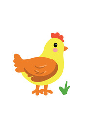 cute baby chick on white background