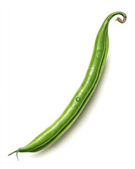 A single, bright green bean with water droplet, white background