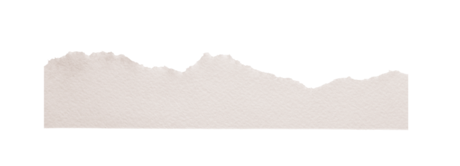 Torn paper strip creating a blank space for text or design, having a rough edge and transparent background