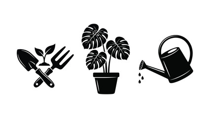 Gardening Tools and Monstera Plant on White Background © Itbar