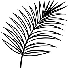 Fototapeta premium leaves