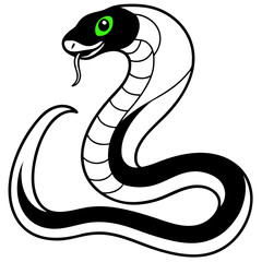 snake vector illustration