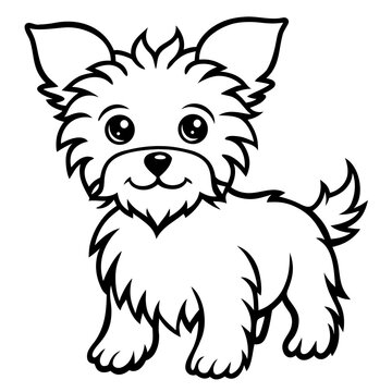 cute blck dog