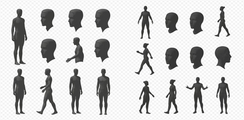 Set of diverse human body and head silhouettes in various poses and angles, isolated on transparent background for design mockups and anatomical studies.