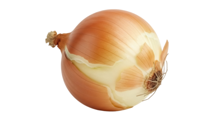 Isolated golden brown onion in its papery skin for flavoring soups and salads, healthy food