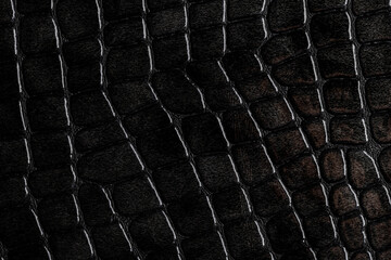 Textured surface of dark crocodile leather presented in close-up during daylight