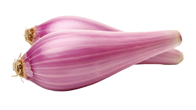 Isolated shallots, healthy vegetable ingredient for cooking in kitchen or restaurant preparation