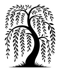 Weeping willow tree silhouette with long drooping branches