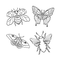 Insects
