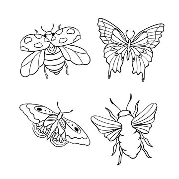 Insects
