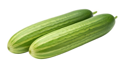 Isolated Two fresh ripe cucumbers with green stripes and stems ready to eat for healthy food