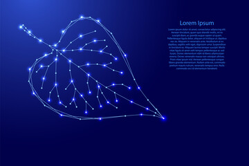 plant leaf from futuristic polygonal blue lines and glowing stars for banner, poster, greeting card