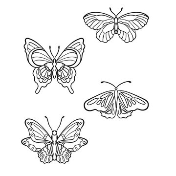butterflies