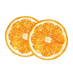 Sweet juicy mandarin segment, hand painted in watercolor on white. Ideal for citrus illustrations, fresh fruit designs, kitchen decor, summer themes, festive and Christmas artwork