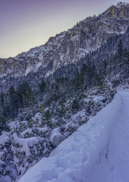 View of snow-covered trees and mountains under a pastel sky, the landscape a study in contrasts of white and blue, Mammoth Lakes, California, United States.