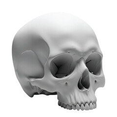 Obraz premium design, skull, rendered, 