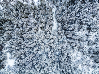 Winter magic in the Julian Alps. Lake Predil seen from above. Between snow and ice.