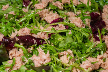 A close-up texture shot of a fresh salad with green arugula leaves, red lettuce, and chunks of canned tuna.
