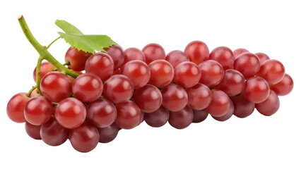 Isolated bunch of red grapes, a popular fruit, perfect for healthy eating and wine making