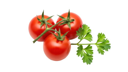 Isolated vine-ripened tomatoes with parsley sprig for fresh food preparation at restaurant