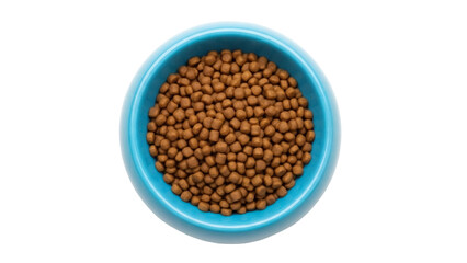 Isolated pet food in a turquoise bowl offers a nutritious meal for furry friends and pets
