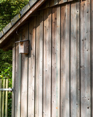 Wooden shed with birdhouse surrounded by trees in a peaceful garden setting during the afternoon
