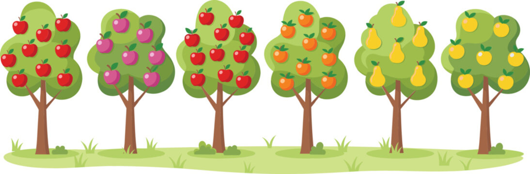 Fruit tree orchard vector illustration featuring apple, orange, pear, and plum trees, colorful garden landscape for agriculture and nature designs