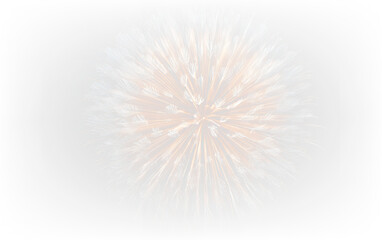 Festive Fireworks Explosion Isolated on Transparent Background PNG