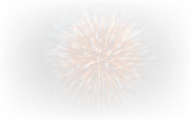 Festive Fireworks Explosion Isolated on Transparent Background PNG