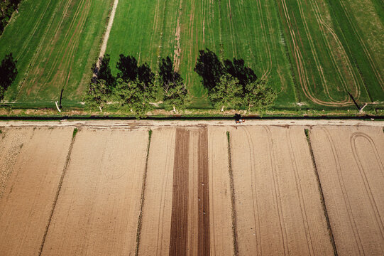 Aerial view of a stark contrast between vibrant green fields and sun-baked earth, divided by a thin line of trees, Primosten, Sibenik-Knin County, Croatia.