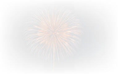 Obraz premium Colorful Celebration Fireworks Salute PNG with Sparkling Burst